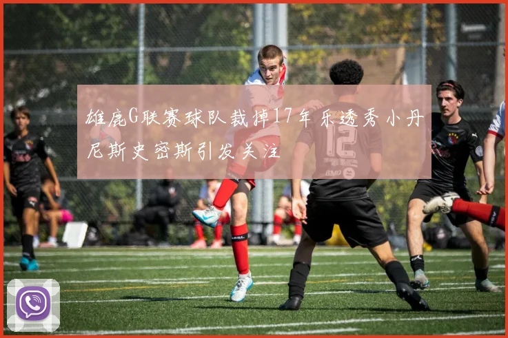 雄鹿G联赛球队裁掉17年乐透秀小丹尼斯史密斯引发关注