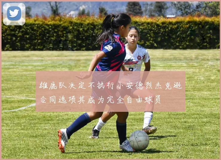 雄鹿队决定不执行小安德烈杰克逊合同选项其成为完全自由球员
