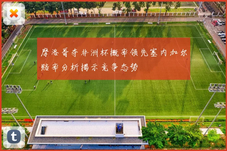 摩洛哥夺非洲杯概率领先塞内加尔赔率分析揭示竞争态势