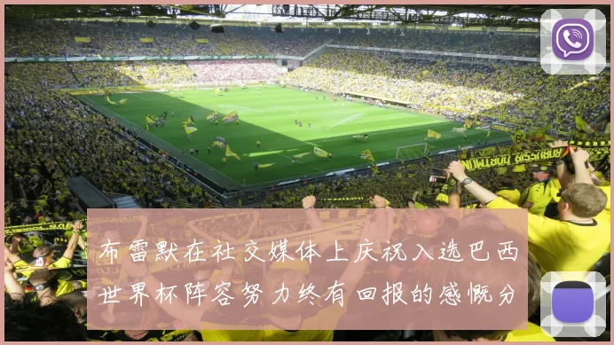 布雷默在社交媒体上庆祝入选巴西世界杯阵容努力终有回报的感慨分享
